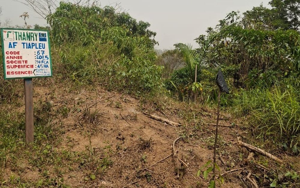 Panneau indiquant le code, l’année et la surface de 45 hectares d’une parcelle préparée à Tiapleu