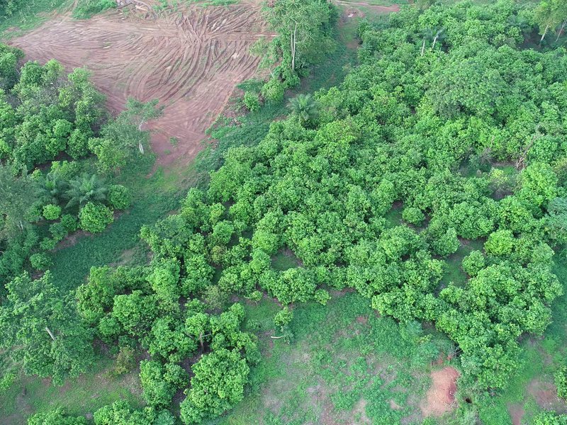 Vue aérienne du site du projet de Tiapleu, Danané