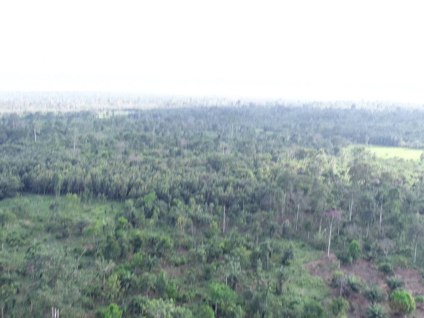 Vue aérienne par drone de la zone de restauration, Danané, Côte d’Ivoire