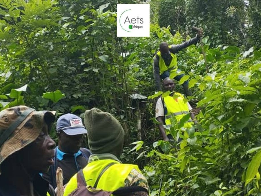 Inventaire d’aménagement forestier sur le terrain avec AETS Afrique