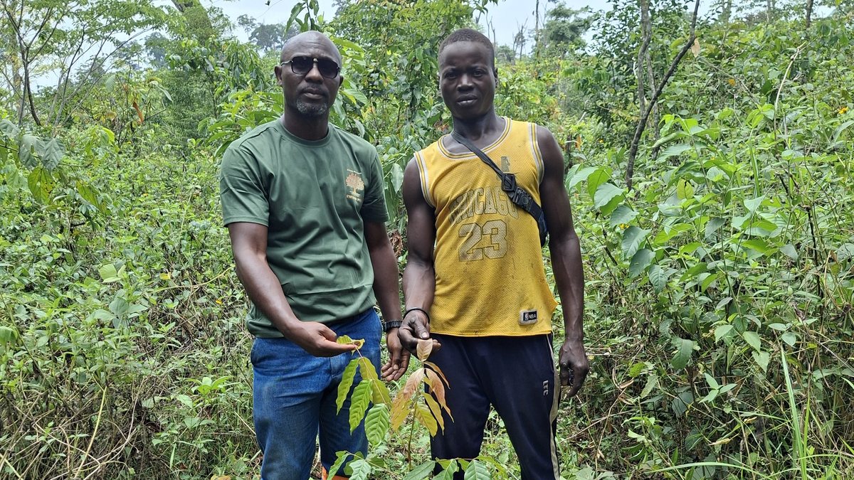 EWOOD field team with a newly planted seedling, C&ocirc;te d&rsquo;Ivoire