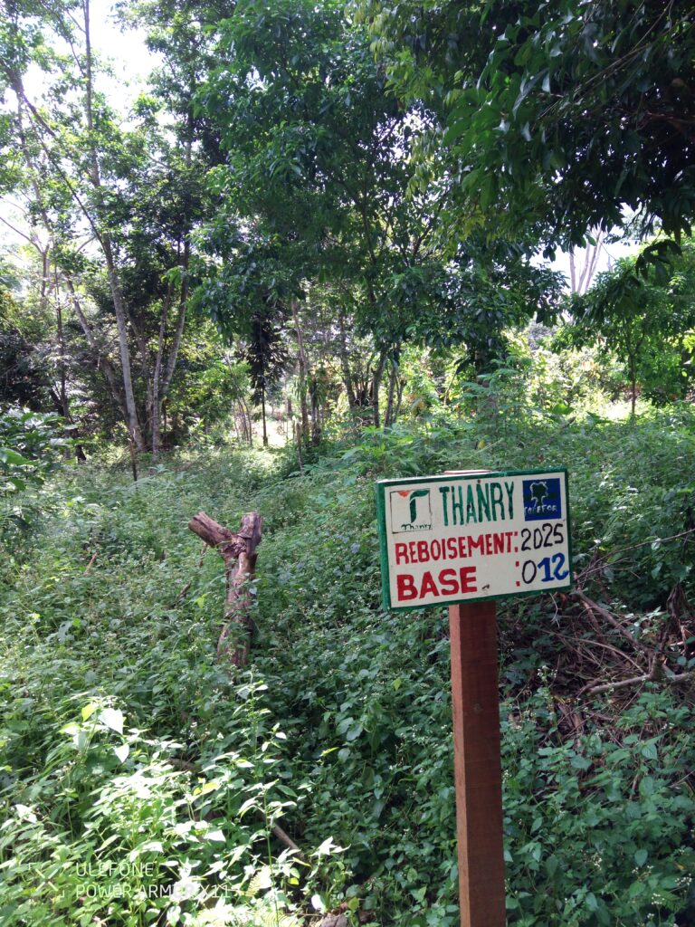 img 20250916 142542 737