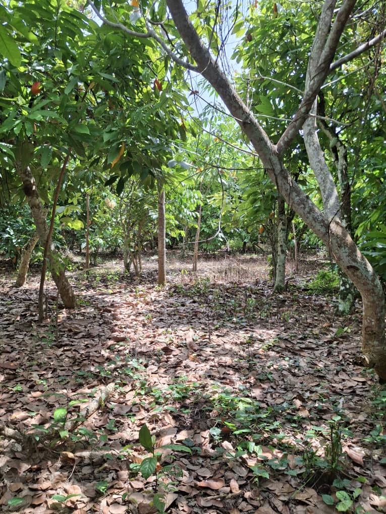 whatsapp image 2025 10 27 à 17.31.50 aa967b14