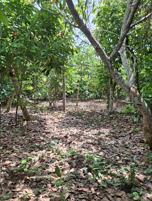 whatsapp image 2025 10 27 à 17.31.50 aa967b14