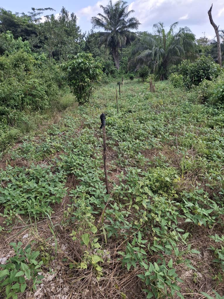 whatsapp image 2025 10 27 à 17.31.57 e483fe55