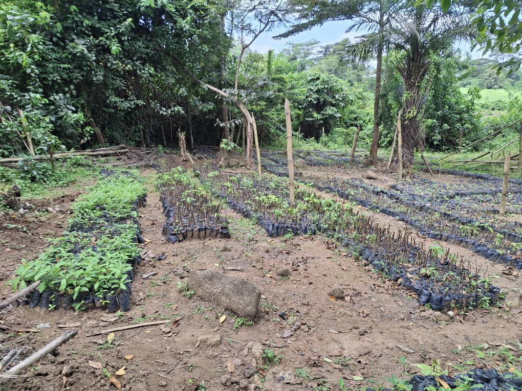 whatsapp image 2025 10 29 à 15.13.11 a1db4ca7