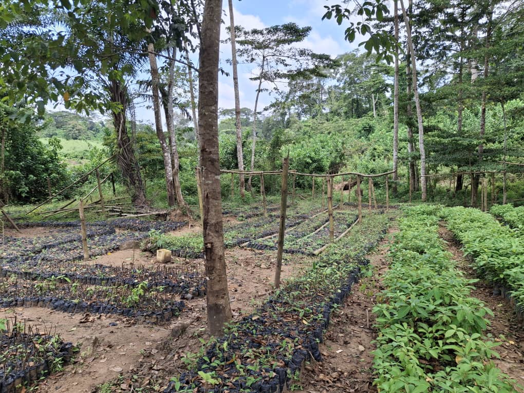 whatsapp image 2025 10 29 à 15.13.12 30251bf0