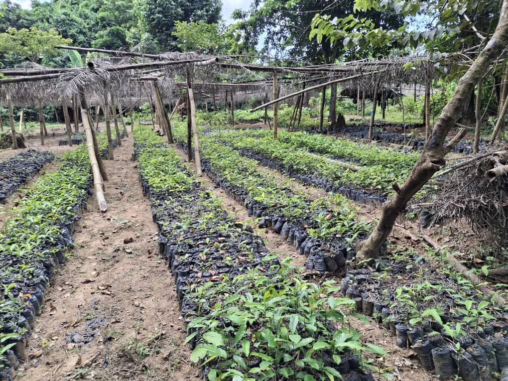 whatsapp image 2025 10 29 à 15.13.15 a09b89a8