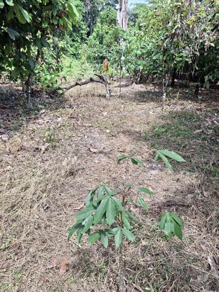 whatsapp image 2025 10 29 à 15.13.47 6c5c8bc6