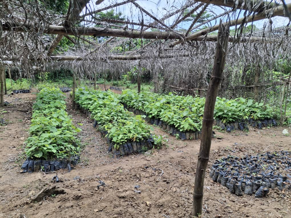 whatsapp image 2025 10 29 à 15.14.15 ac35e828