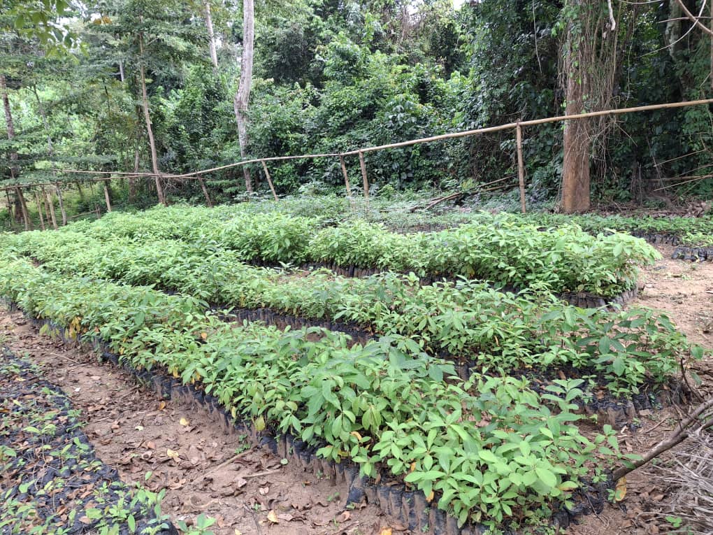 whatsapp image 2025 10 29 à 15.33.31 fd25cd50