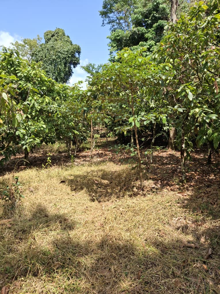 whatsapp image 2025 10 29 à 15.33.32 ac290893