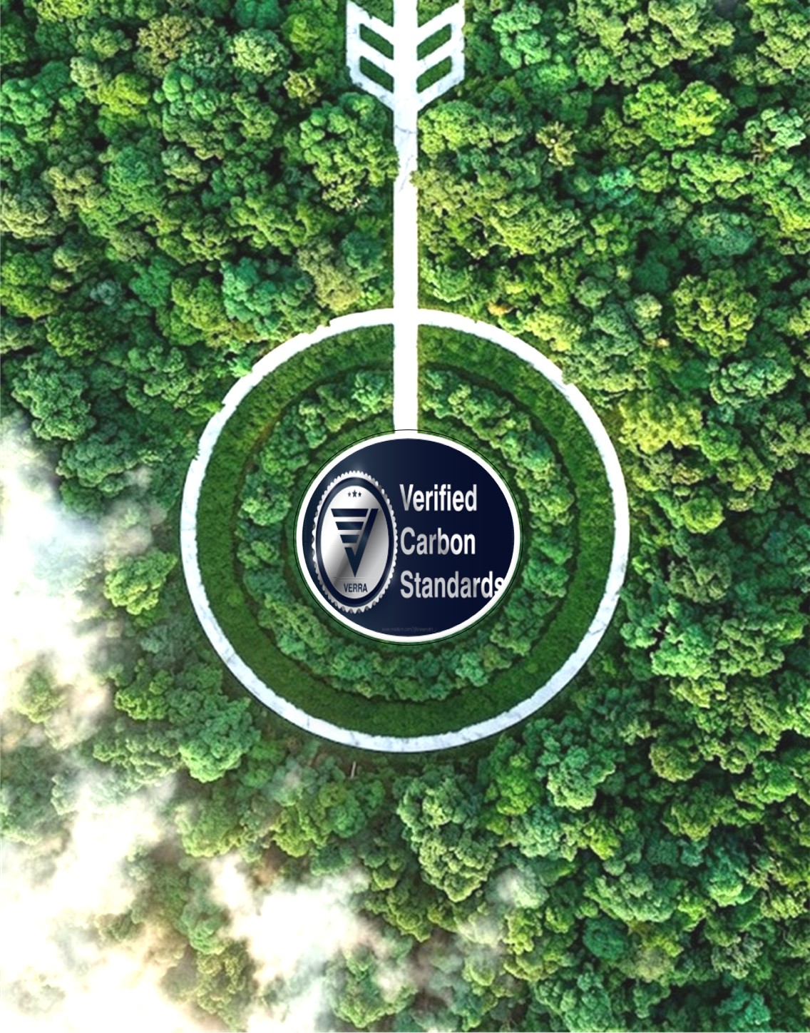 Forest management — Tiapleu platform