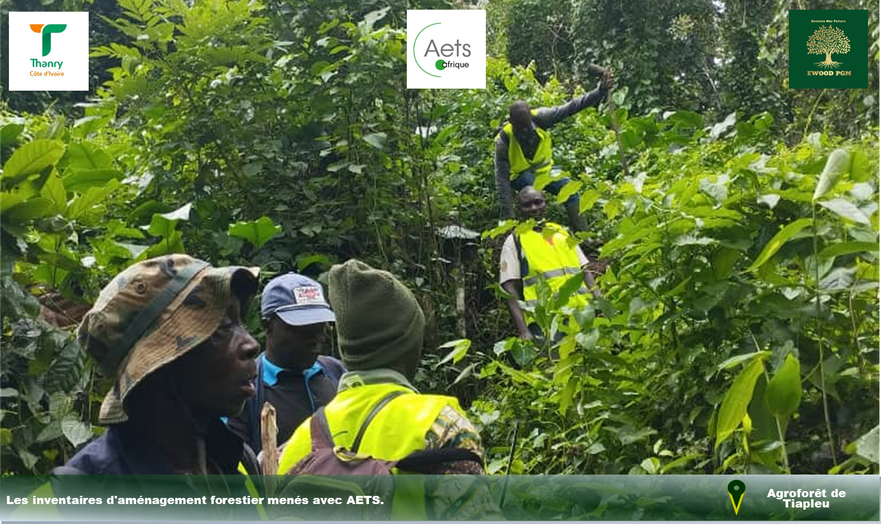 Équipe d'inventaire en forêt
