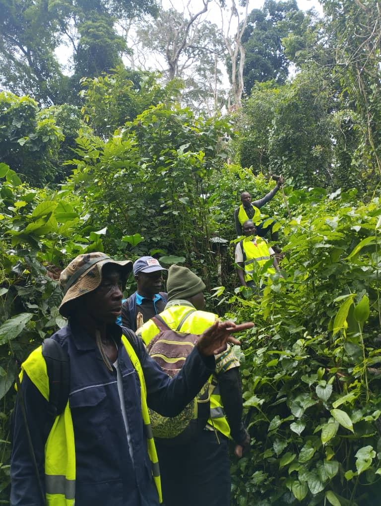 Les équipes EWOOD PGM et AETS Afrique en progression dans la forêt