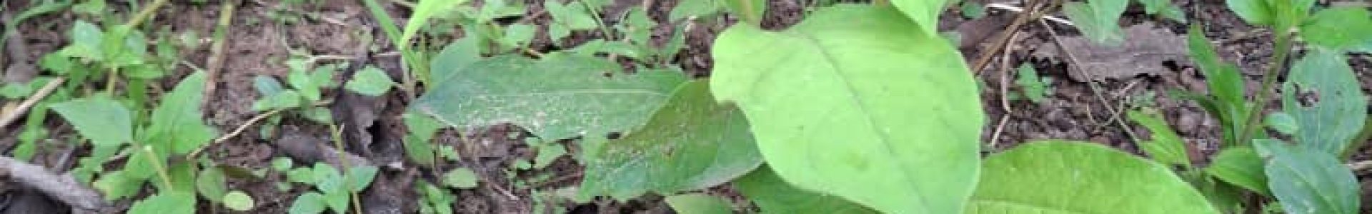 whatsapp image 2025 10 27 à 08.16.44 67fc1bf2